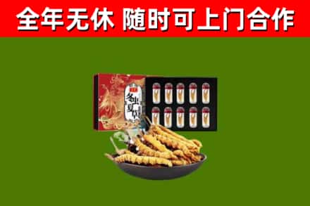 文昌回收冬虫夏草价格