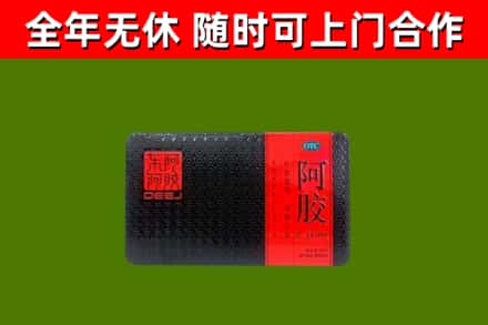 文昌回收阿胶