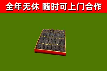 文昌回收海参